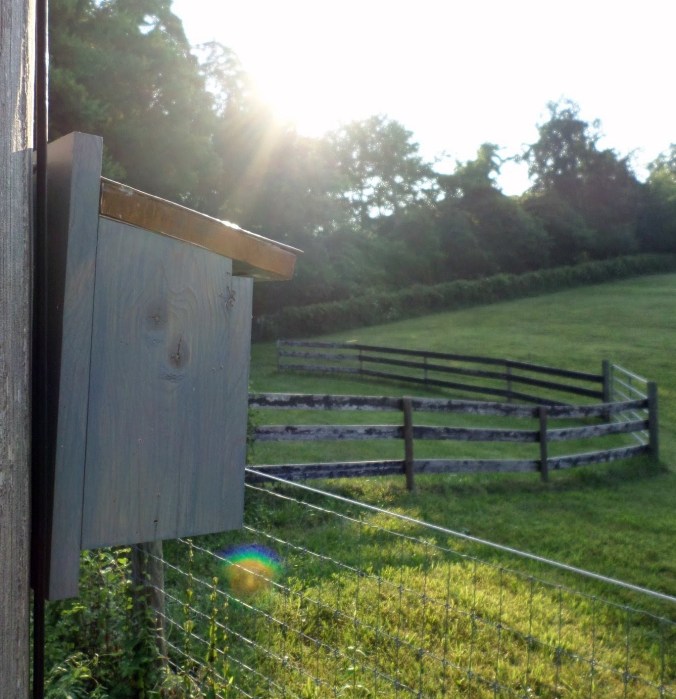 SAMSUNG CAMERA PICTURES