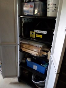 SAMSUNG CAMERA PICTURES